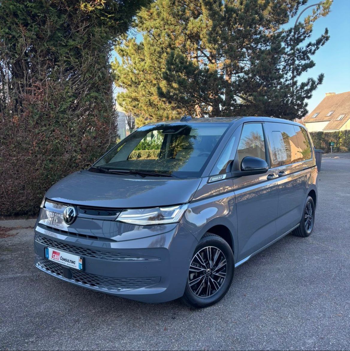 Volkswagen T7 Multivan Business 4 Motion
